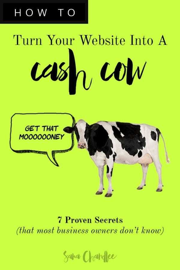 How To Turn Your Website Into A Cash Cow | Sara Chandlee